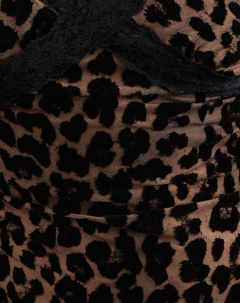 giorgine | leopard print mesh camisole with lace trim