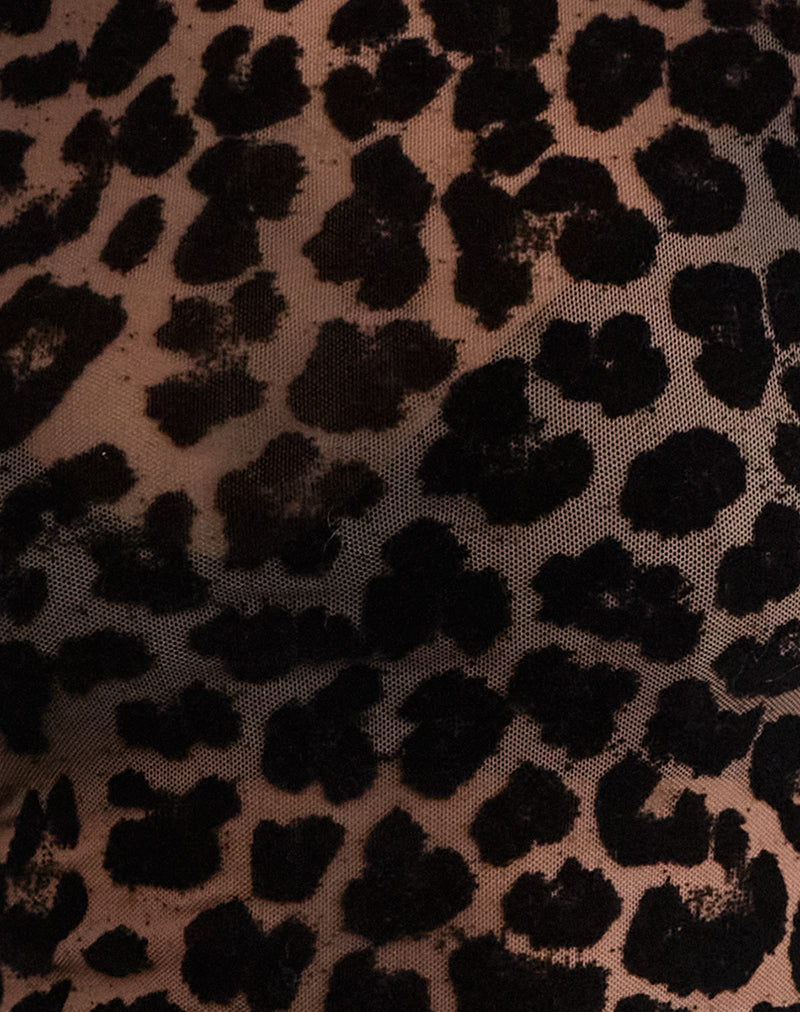 helvina | leopard mesh top with edgy elegance