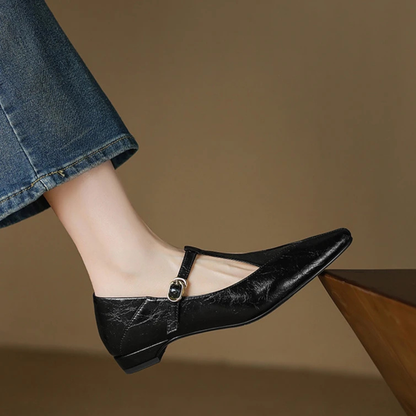Women's Flat T-Strap Shoes with Pointed Toe Design