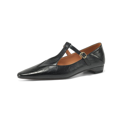Women's Flat T-Strap Shoes with Pointed Toe Design