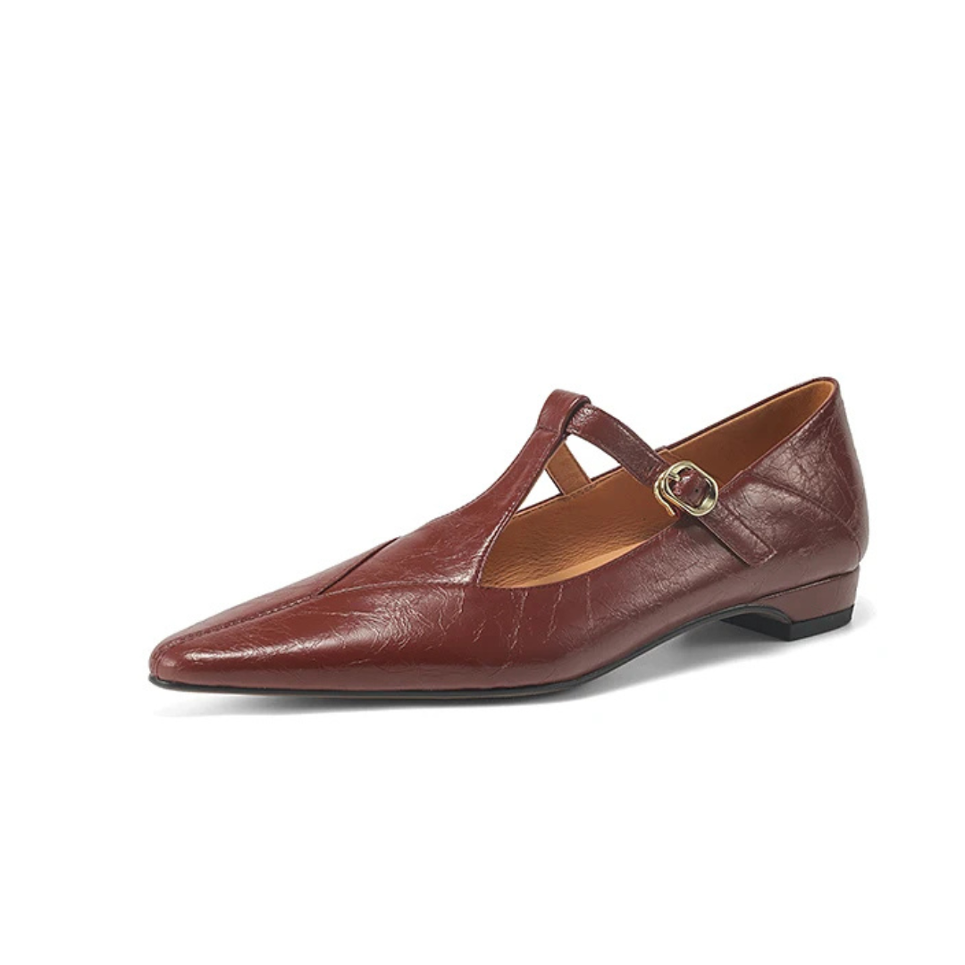 Women's Flat T-Strap Shoes with Pointed Toe Design