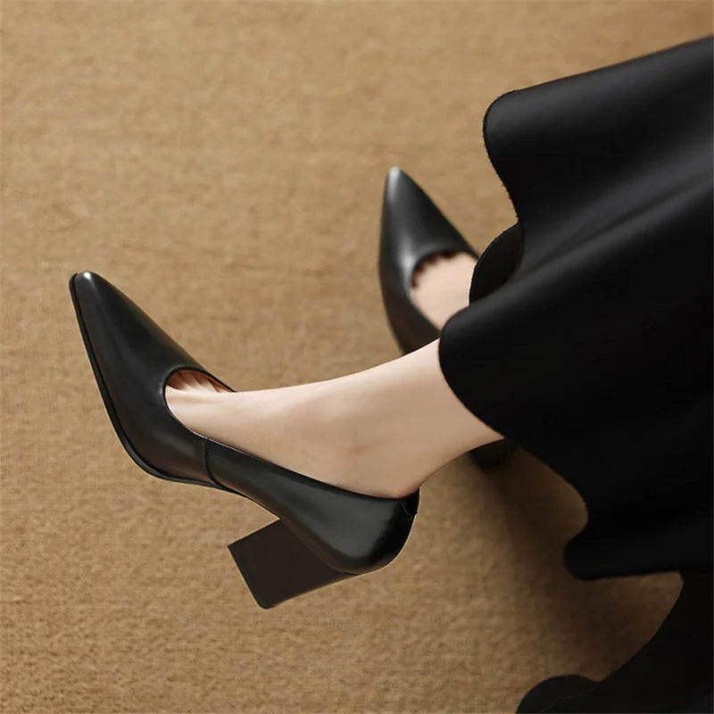 Women's Pointed Toe Heels with Block Heel